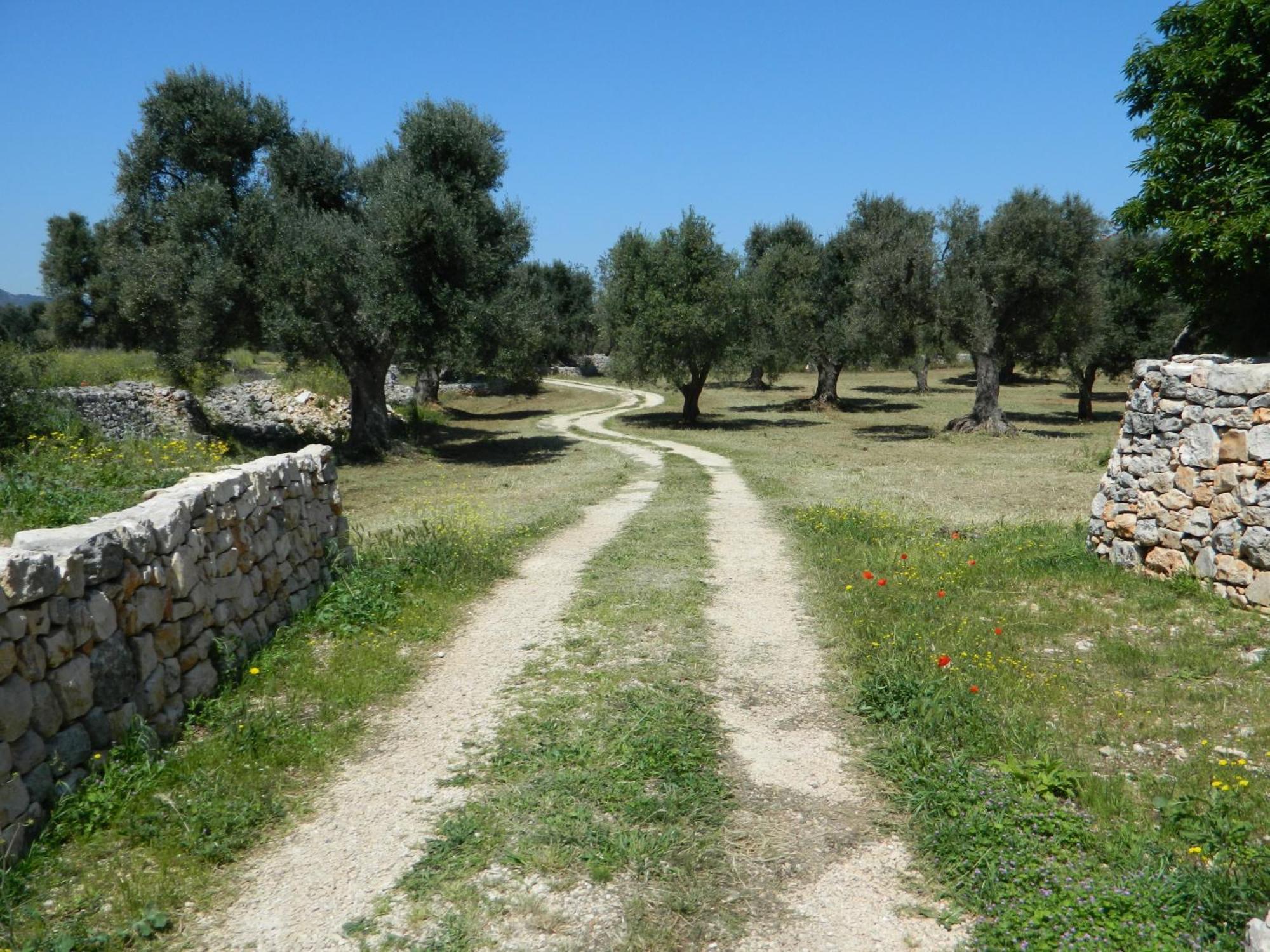 Masseria Purgatorio Fasano Buitenkant foto