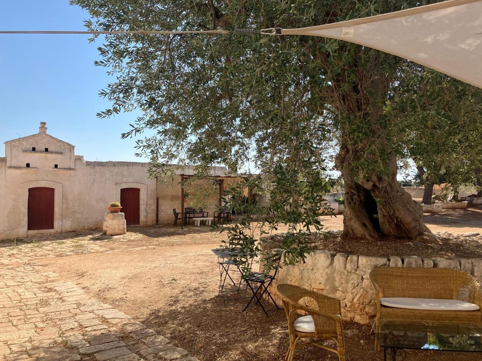 Masseria Purgatorio Fasano Buitenkant foto