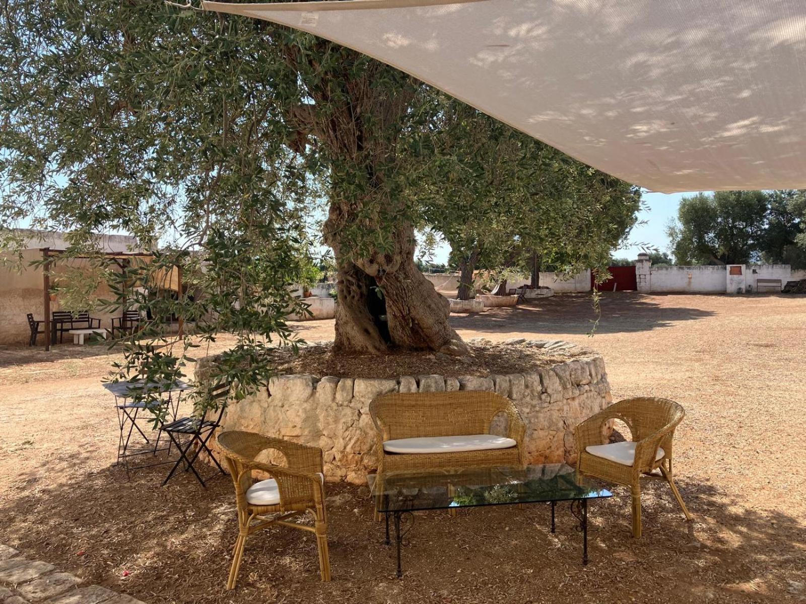 Masseria Purgatorio Fasano Buitenkant foto