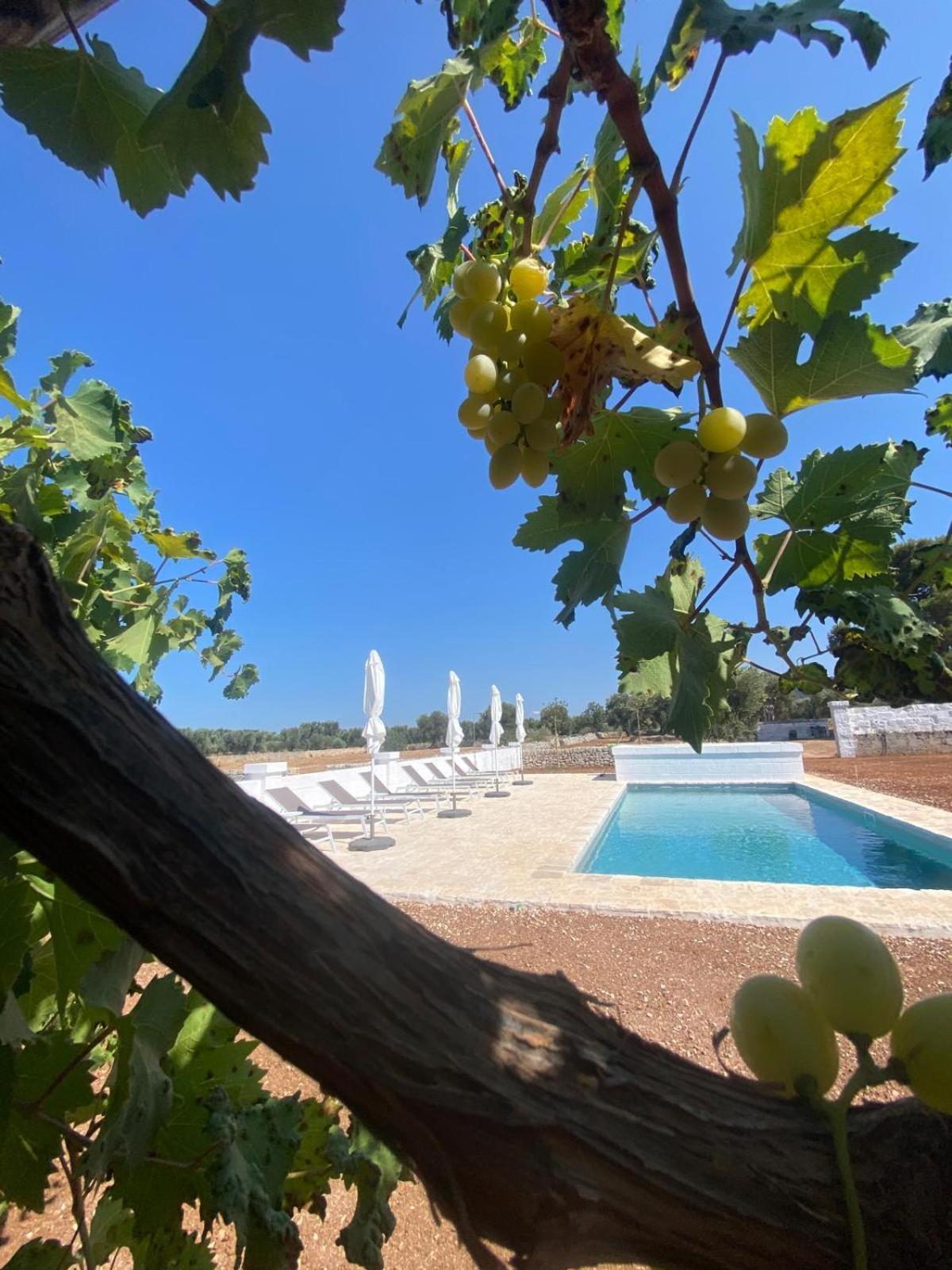 Masseria Purgatorio Fasano Buitenkant foto